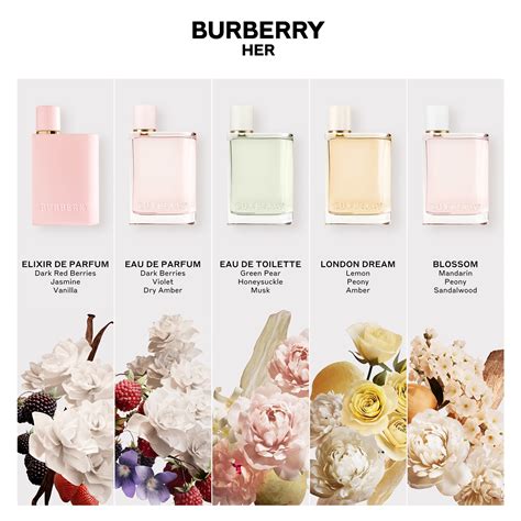 burberry established 1856 parfüm|burberry her elixir fragrantica.